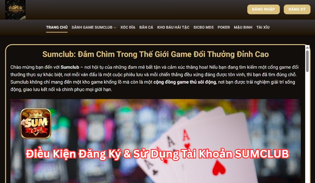 Điều Kiện Đăng Ký & Sử Dụng Tài Khoản SUMCLUB